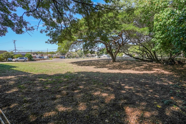 1-3580 Kaumualii Hwy, Hanapepe, HI 96716 - view of yard