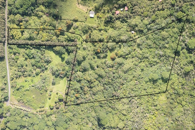 13-790 Kamaili Rd Lot 732, Pahoa, HI 96778 - photo 1