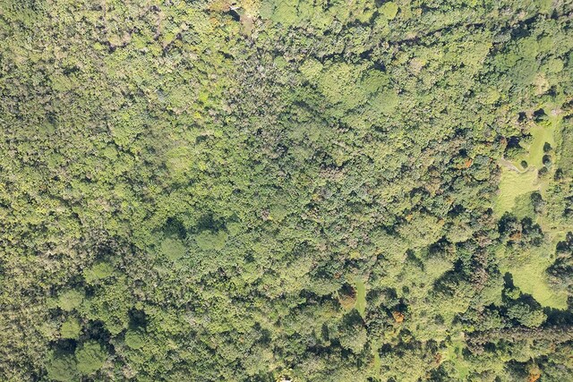 13-790 Kamaili Rd Lot 732, Pahoa, HI 96778 - photo 16