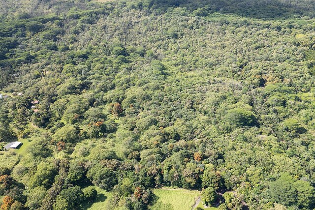 13-790 Kamaili Rd Lot 732, Pahoa, HI 96778 - photo 17
