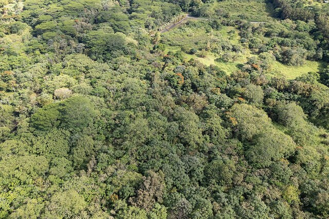 13-790 Kamaili Rd Lot 732, Pahoa, HI 96778 - photo 20