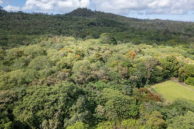 13-790 Kamaili Rd Lot 732, Pahoa, HI 96778 - photo 21
