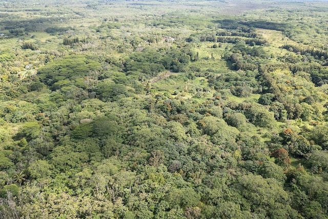 13-790 Kamaili Rd Lot 732, Pahoa, HI 96778 - photo 22