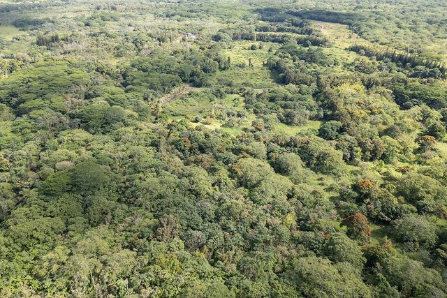 13-790 Kamaili Rd Lot 732, Pahoa, HI 96778 - photo 23