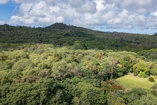 13-790 Kamaili Rd Lot 732, Pahoa, HI 96778 - photo 25