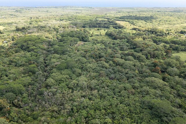 13-790 Kamaili Rd Lot 732, Pahoa, HI 96778 - photo 26