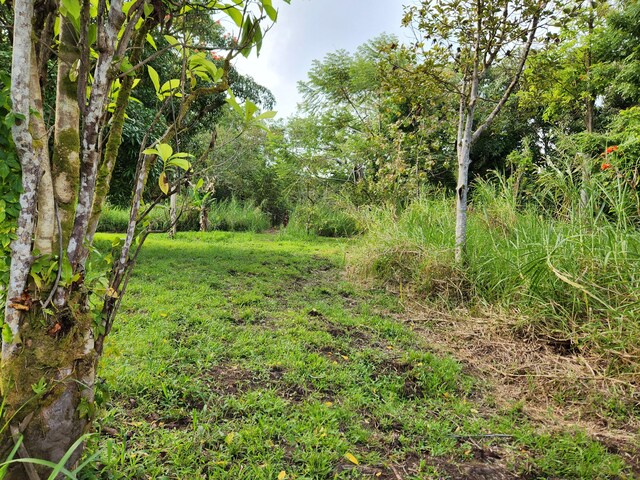 13-790 Kamaili Rd Lot 732, Pahoa, HI 96778 - photo 9