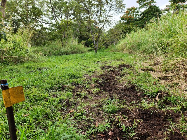 13-790 Kamaili Rd Lot 732, Pahoa, HI 96778 - photo 11