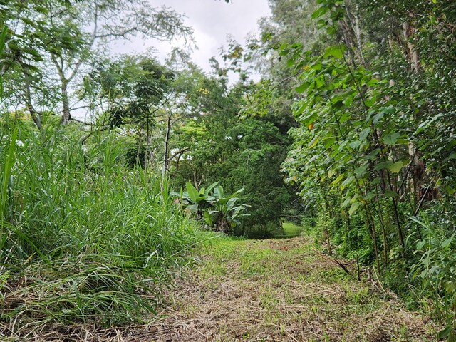 13-790 Kamaili Rd Lot 732, Pahoa, HI 96778 - photo 3