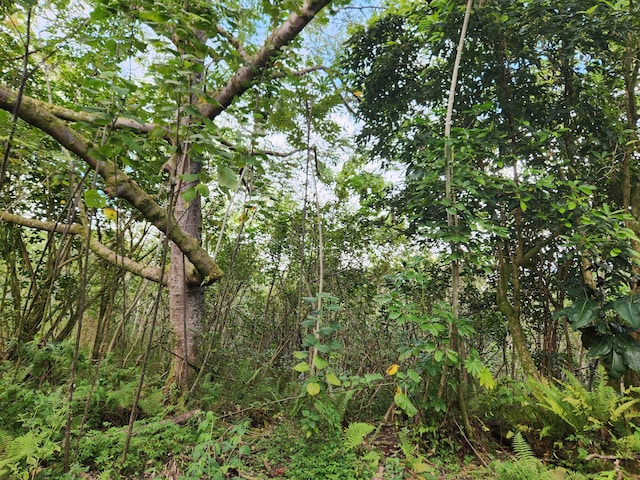 13-790 Kamaili Rd Lot 732, Pahoa, HI 96778 - photo 14