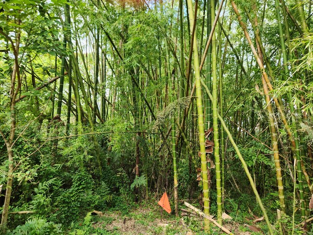 13-790 Kamaili Rd Lot 732, Pahoa, HI 96778 - photo 5