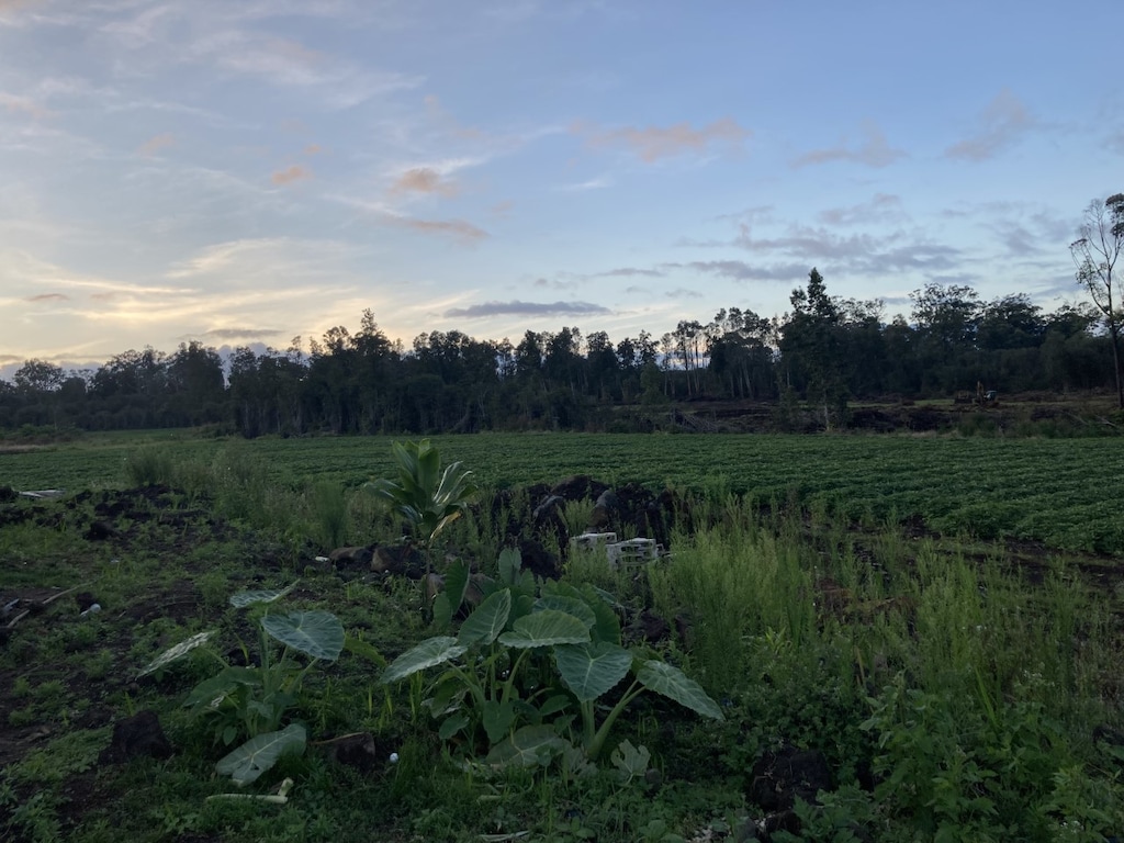 18-1585 Volcano Rd, Volcano, HI 96785 - photo 1