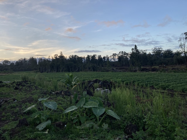 18-1585 Volcano Rd, Volcano, HI 96785 - photo 1