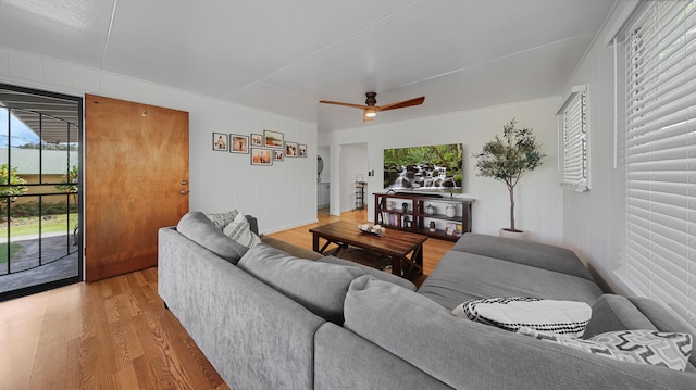 3189 Hikina Rd, Koloa, HI 96756 - living room with light wood finished floors, healthy amount of natural light, and a ceiling fan
