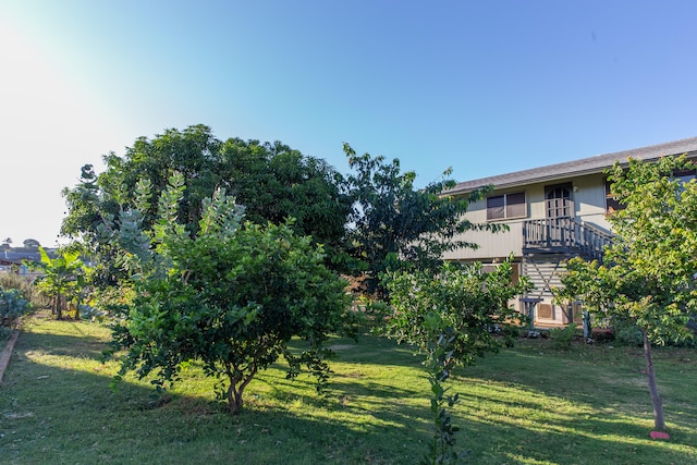 4486 Iona Rd, Hanapepe, HI 96716 - view of green lawn