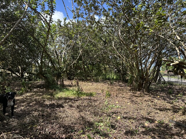 34th Ave, Keaau, HI 96749