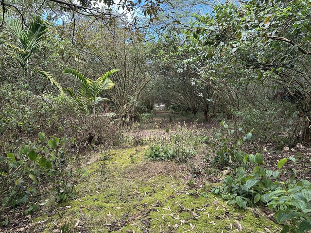 34th Ave, Keaau, HI 96749