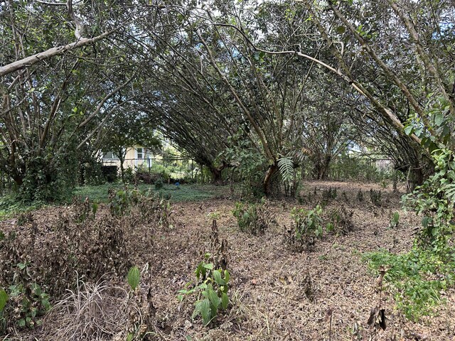 34th Ave, Keaau, HI 96749