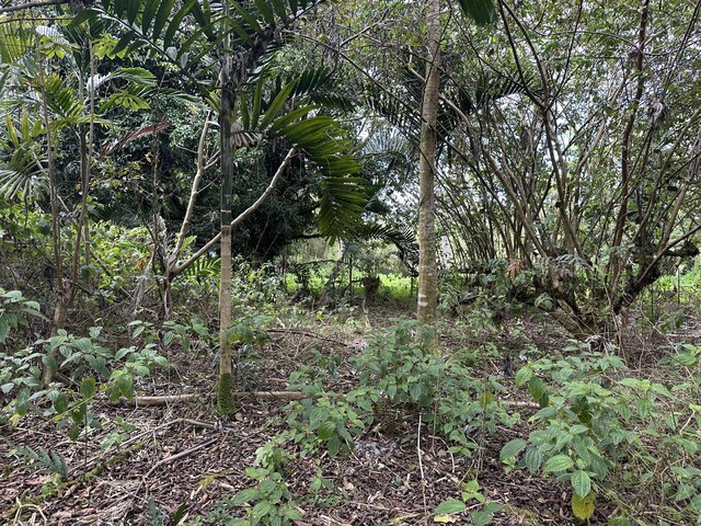 34th Ave, Keaau, HI 96749