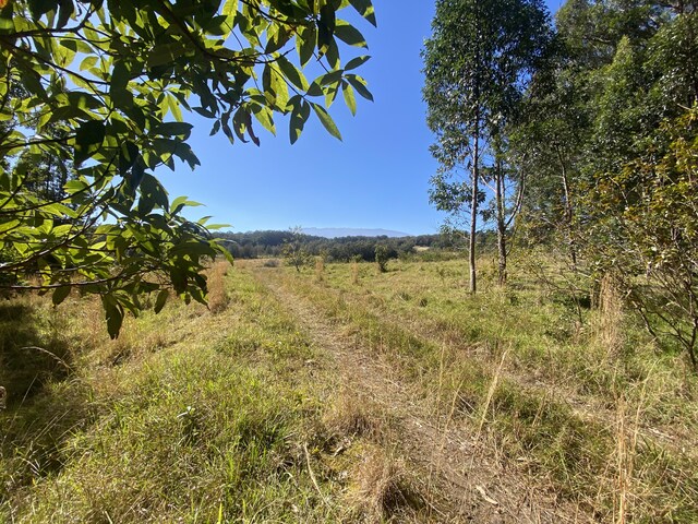 45-3445 Kahana Dr, Honokaa, HI 96727 - photo 23