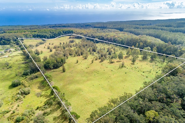 45-3445 Kahana Dr, Honokaa, HI 96727 - photo 1