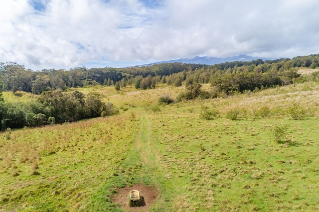 45-3445 Kahana Dr, Honokaa, HI 96727 - photo 19