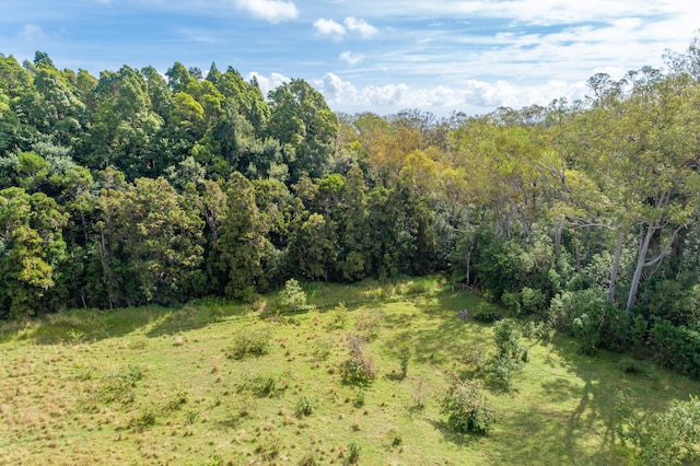 45-3445 Kahana Dr, Honokaa, HI 96727 - photo 18