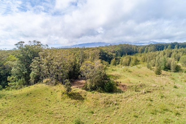 45-3445 Kahana Dr, Honokaa, HI 96727 - photo 17