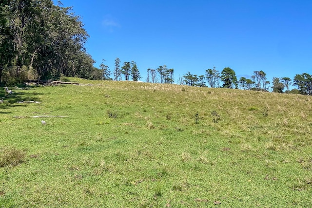 45-3445 Kahana Dr, Honokaa, HI 96727 - photo 4