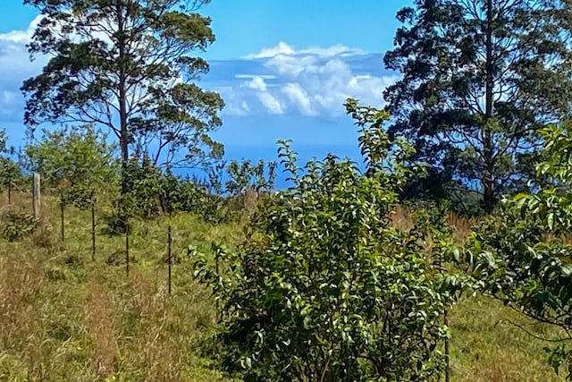 45-3445 Kahana Dr, Honokaa, HI 96727 - photo 7