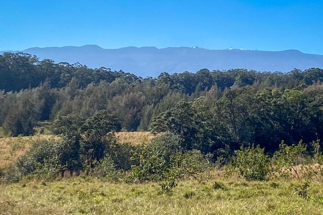 45-3445 Kahana Dr, Honokaa, HI 96727 - photo 21