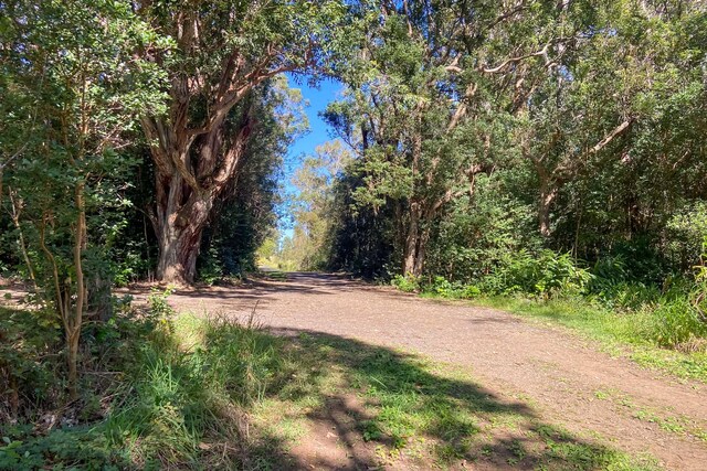 45-3445 Kahana Dr, Honokaa, HI 96727 - photo 25