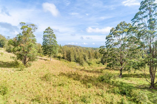 45-3445 Kahana Dr, Honokaa, HI 96727 - photo 12