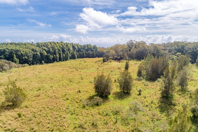 45-3445 Kahana Dr, Honokaa, HI 96727 - photo 16
