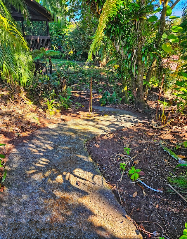173 Opio Rd, Hilo, HI 96720 - view of yard