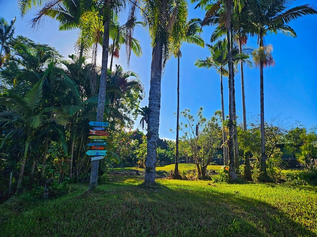 173 Opio Rd, Hilo, HI 96720 - view of community sign