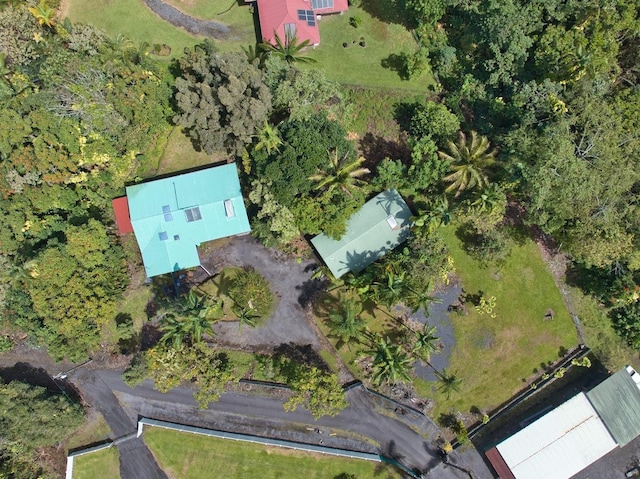 173 Opio Rd, Hilo, HI 96720 - bird's eye view
