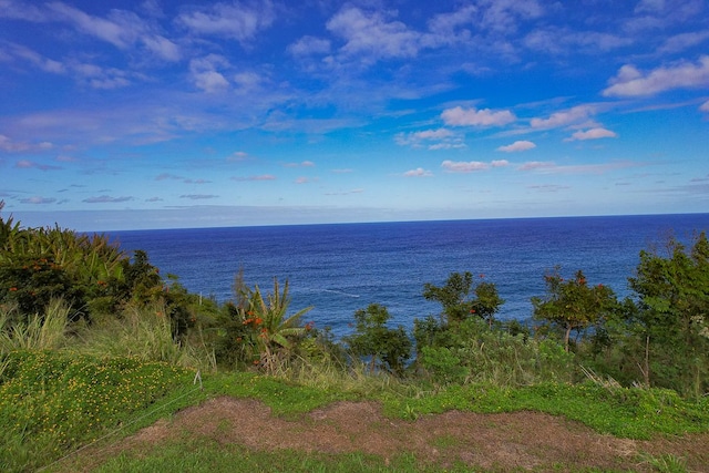 32-2643 Pali Ku Pl, Ninole, HI 96773