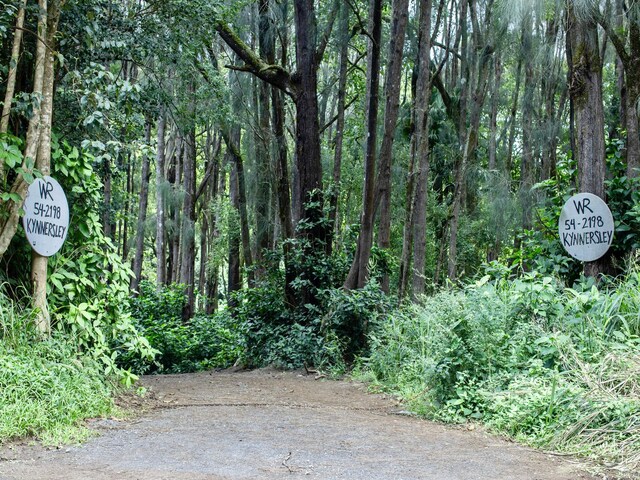 54-2198 Kynnersley Rd, Kapaau, HI 96755 - photo 11