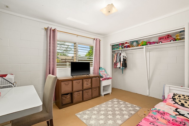 8562-B Elepaio Rd, Kekaha, HI 96752 - bedroom featuring a closet and concrete block wall