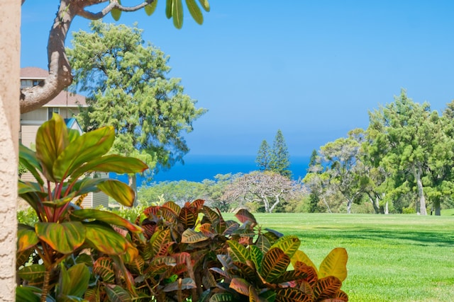 68-3840 Lua Kula St Unit H100, Waikoloa, HI 96738 - view of grassy yard