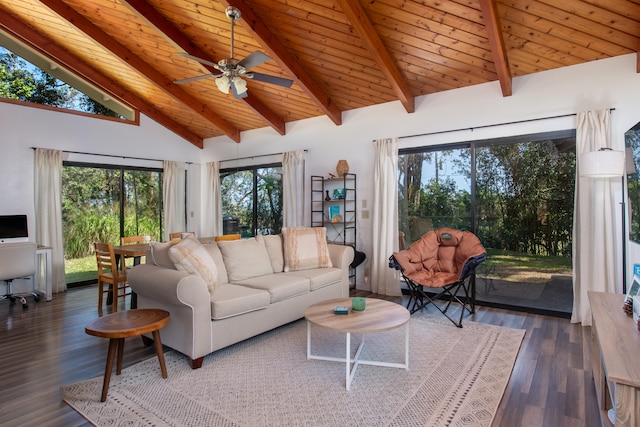 45-1070 Kalehua Rd, Honokaa, HI 96727 - living room featuring plenty of natural light, wood finished floors, a ceiling fan, wooden ceiling with exposed beams, and high vaulted ceiling