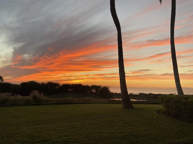 62-3614 Lolii Way Unit E-2, Kamuela, HI 96743 - view of nature at dusk
