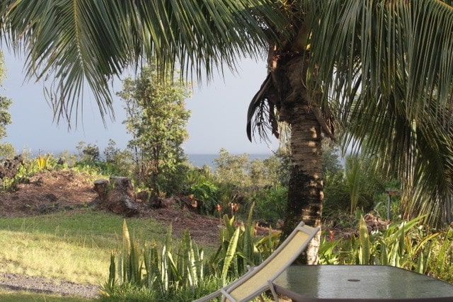 12-132 Kipuka, Pahoa, HI 96778 - view of yard