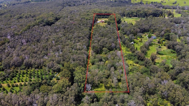 94-2664 Lorenzo Rd, Naalehu, HI 96772 - aerial overview of property's location featuring a forest and property boundaries highlighted