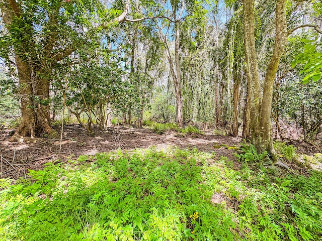 94-2664 Lorenzo Rd, Naalehu, HI 96772 - view of undeveloped land