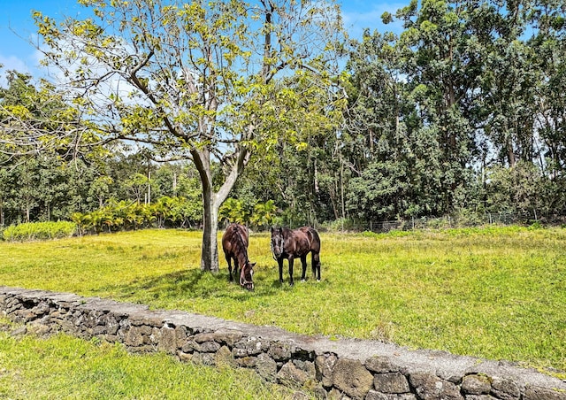 94-2664 Lorenzo Rd, Naalehu, HI 96772 - view of yard