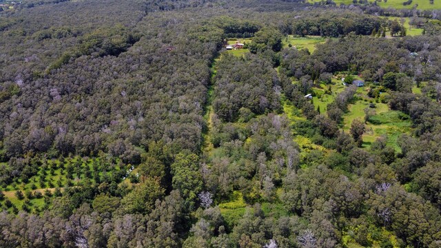 94-2664 Lorenzo Rd, Naalehu, HI 96772 - view of property location with a heavily wooded area