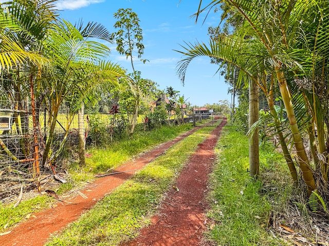 94-2664 Lorenzo Rd, Naalehu, HI 96772 - view of yard