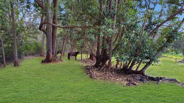94-2664 Lorenzo Rd, Naalehu, HI 96772 - view of green lawn